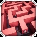 Dead Maze Run [MOD: Money] 1.0