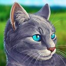 Симулятор Кота - Жизнь Животных 1.0.1.1