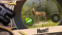 Hunting Clash: Охота на животных. Игра про охоту screenshot №6