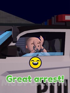 Traffic Cop 3D screenshot №4