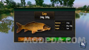 Рыбацкая деревня: Реальная рыбалка screenshot №6